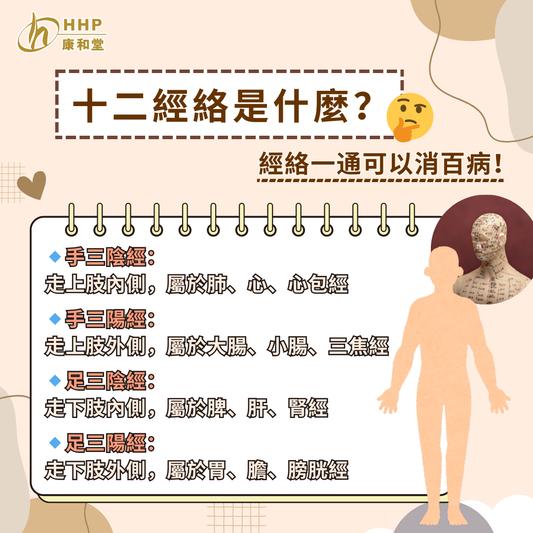 【十二經絡係乜嘢🤔?經絡一通可以消百病?!😮】