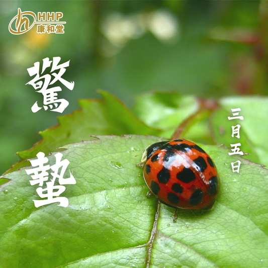 【迎接「驚蟄」🌱排毒養生嘅最有利時節!✨】