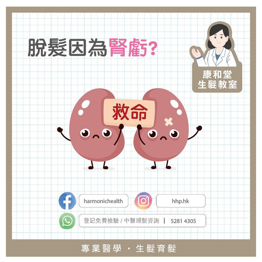 【#頭皮小學堂 之🍃「髮」現腎虛真相!🍃】