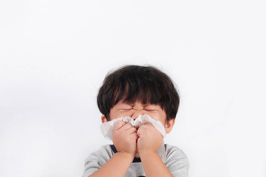 鼻敏感 – 肺熱、肺虛大不同