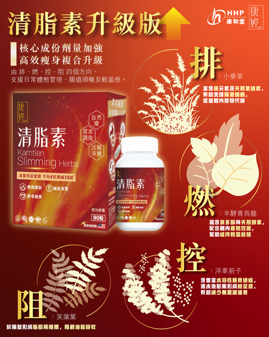 【4 大核心機制｜幫你輕鬆瘦出理想狀態✨！】